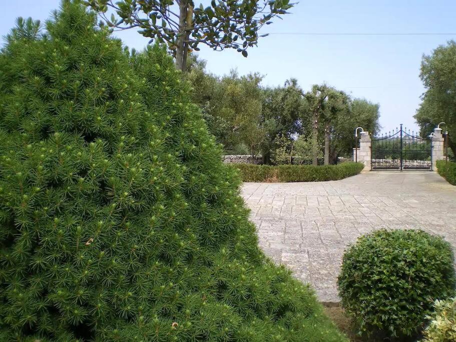 Trulli Giulivi Villa Locorotondo Exterior photo